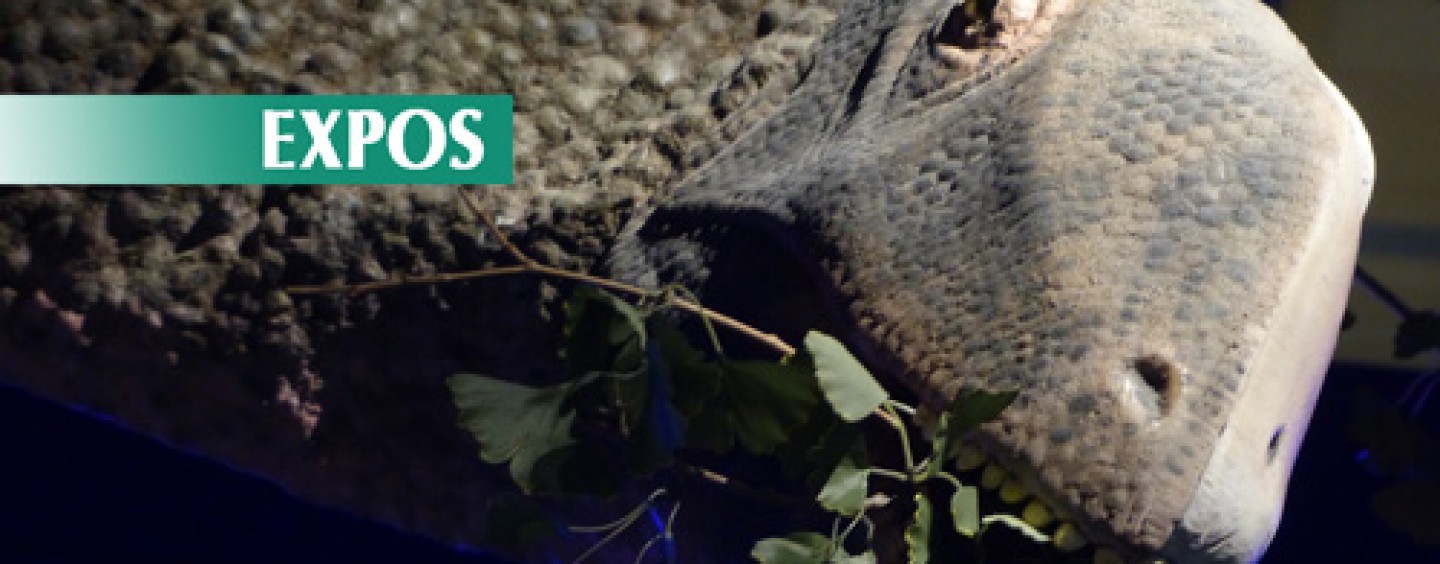 CRITIQUE// Dinosaure, la vie en grand au Muséum de Paris : la folie des grandeurs